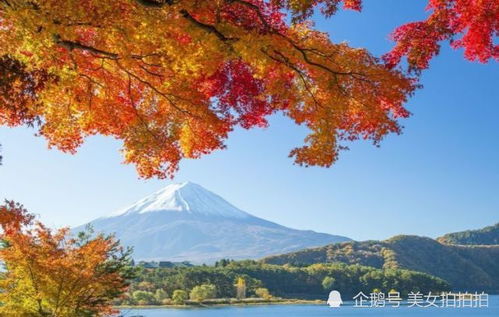 為生兒子拋棄女兒,多年后找到女兒,卻被女兒趕了出來,報應啊