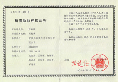 紅楓,美國紅楓,日本紅楓-優(yōu)秀造林綠化樹種推薦--泓森槐-美國紅楓十月光輝|夕陽紅|紅冠|秋火焰|日本紅楓獅子頭、三河八房、紅三河批發(fā)【華石紅楓 tel:4006168511】-www.shmmw.com