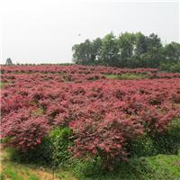 大冶市養(yǎng)殖相關(guān)地區(qū)